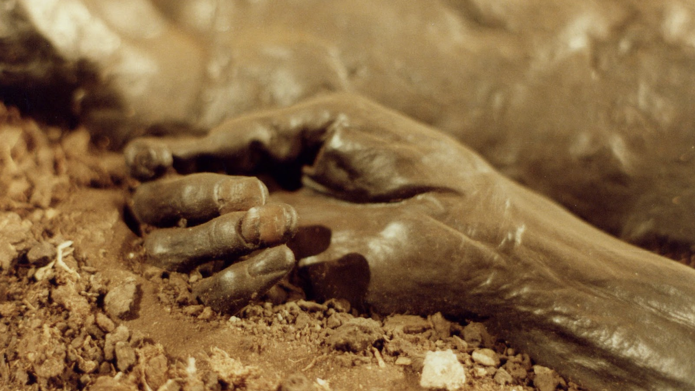Close-up image of the mummified hand of the Grauballe Man, an Iron Age bog body, with well-defined fingers resting in soil